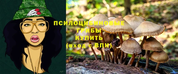 прущий лед Балабаново